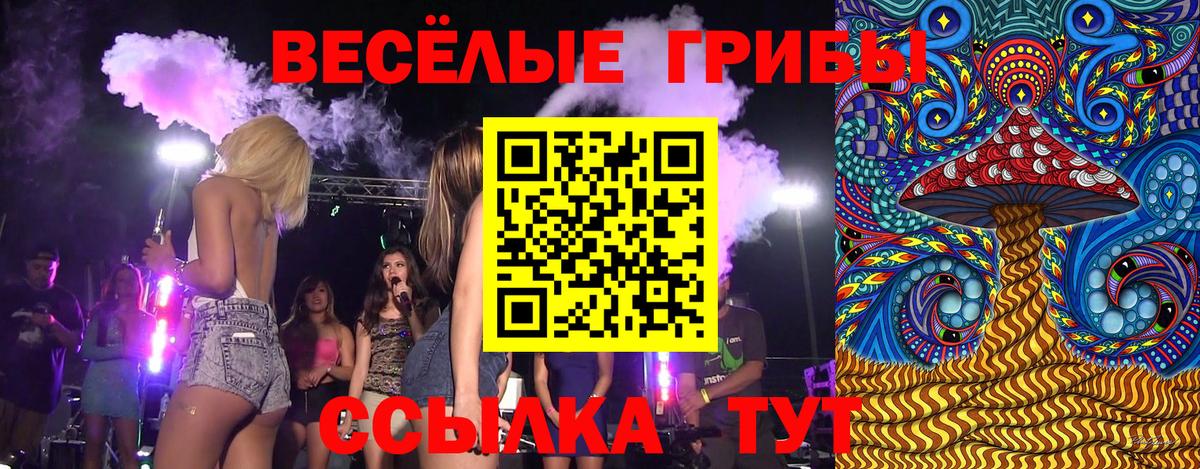 Псилоцибиновые грибы Psilocybe Ейск