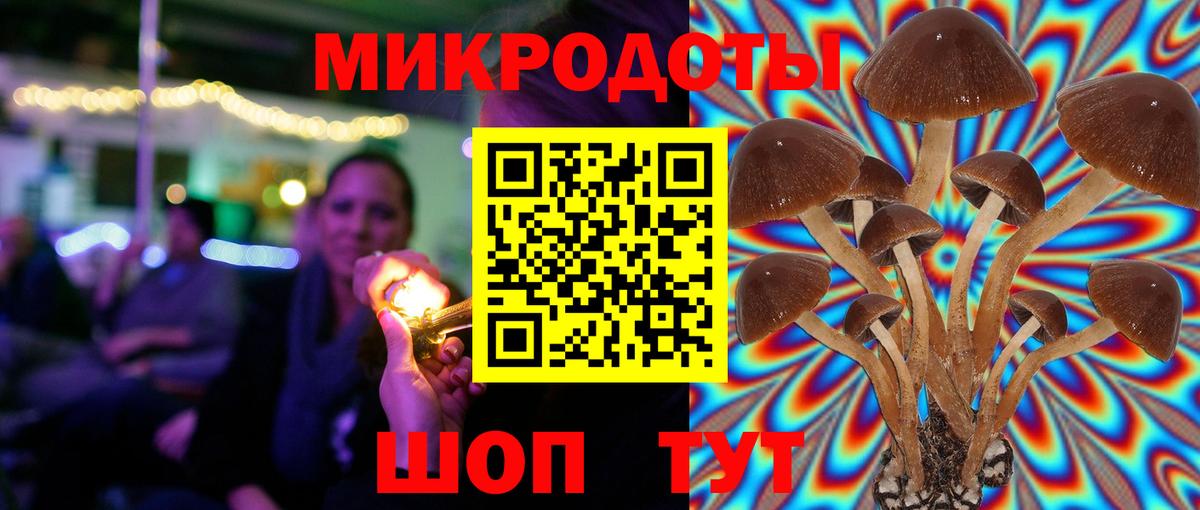 Ейск  Псилоцибиновые грибы прущие грибы  сколько стоит  Вход с VPN 